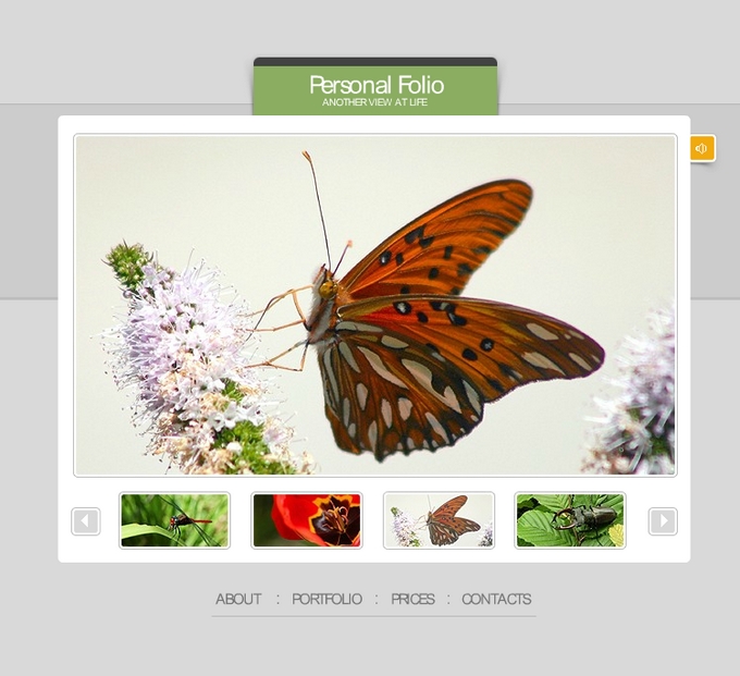 绿色生物、昆虫类flash网站模板素材动画素材下载