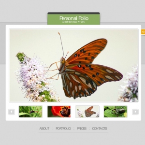 绿色生物、昆虫类flash网站模板素材动画素材下载